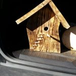IMG-20190225-WA0001